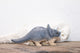 Triceratops
